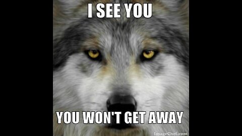 5/16/21 Episode 137 A Wolf in Wolves Clothing