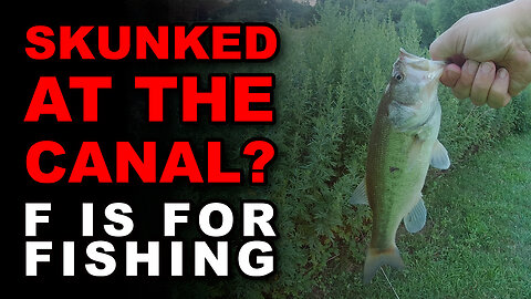 Skunked at the Canal?