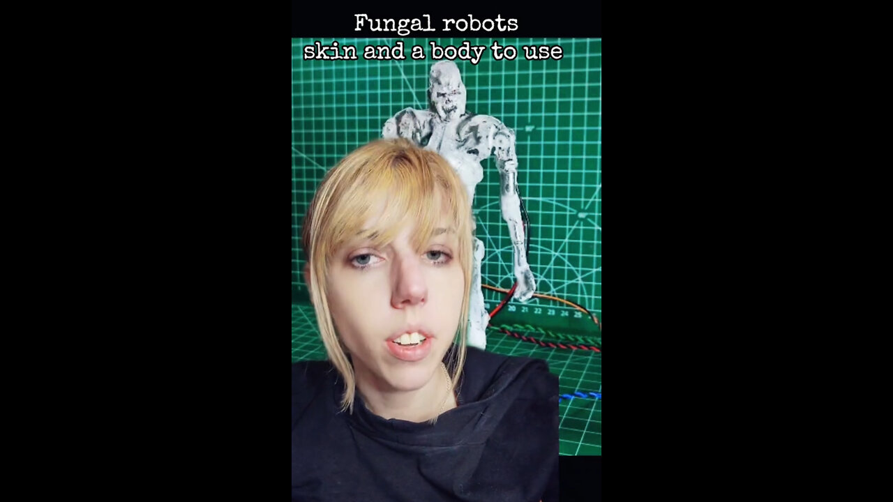 Fungal Piloted Robots: The Future of AI and Neuroplasticity