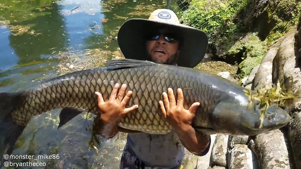 HUGE FRESHWATER FISH!!! Personal Best! Monster Fishing