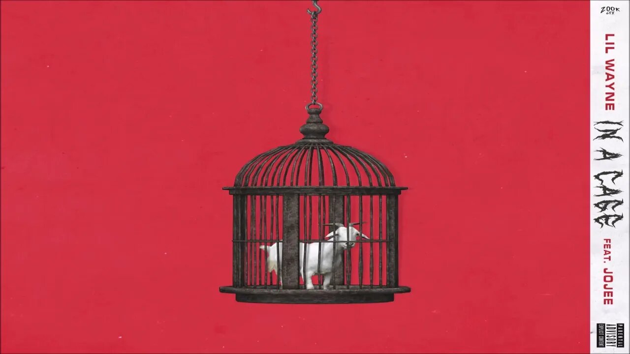 Lil Wayne - In A Cage Feat. Jojee (Edit) (432hz)