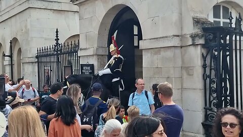 They find it funny the kings shouted at them stand clear of the kings guard #horseguardsparade