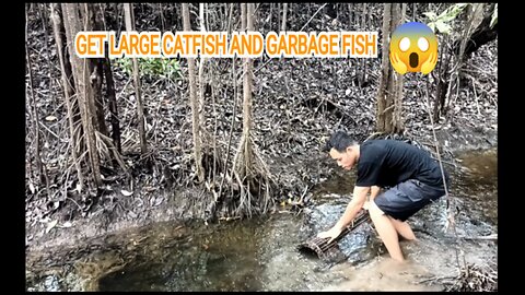 SET TRADITIONAL FISH TRAP TO GET BIG CATFISH AND GARBAGE FISH