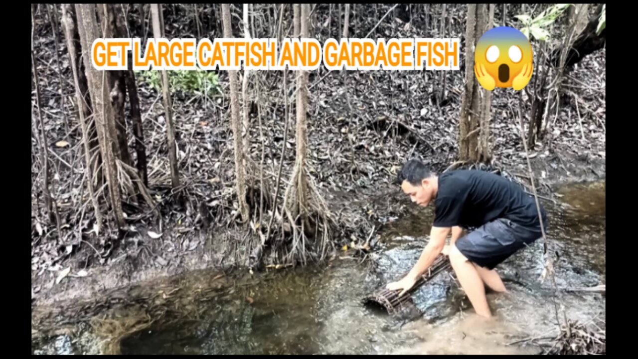 SET TRADITIONAL FISH TRAP TO GET BIG CATFISH AND GARBAGE FISH