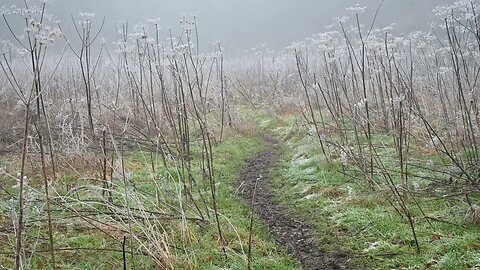 Foogy Day in Somerset