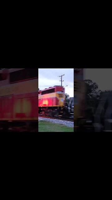 FEC-206 with some old power at Daytona Beach Golf Club July 28 2023 #railfanrob #fec206