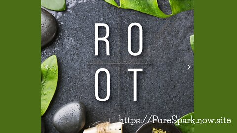 The ROOT Brands Mission ~ Meet Dr. Christina Rahm and Clayton Thomas of Root Wellness