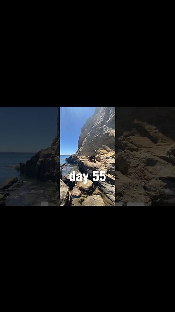 100 Push-ups Everyday Day 55