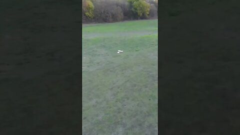 (Short) Balu's Ugly Stick