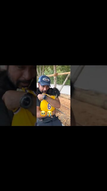 Chimpanzee missed his owner so much he cried 😍