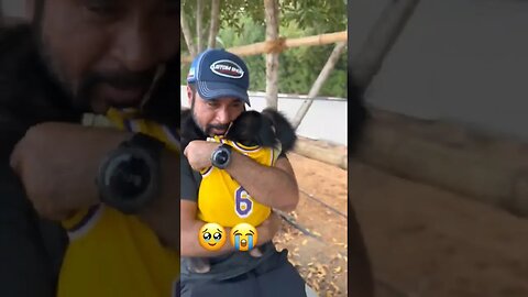 Chimpanzee missed his owner so much he cried 😍