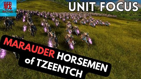 Unit Focus - Marauder Horsemen of Tzeentch