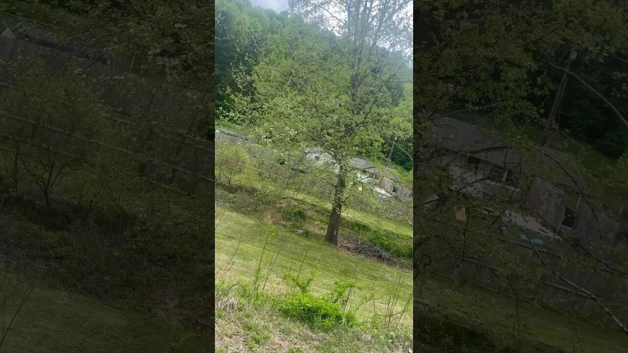 Youtuber featureMan has a disgusting past… #shorts #sick #youtubeviral #asmr #cr1tikal