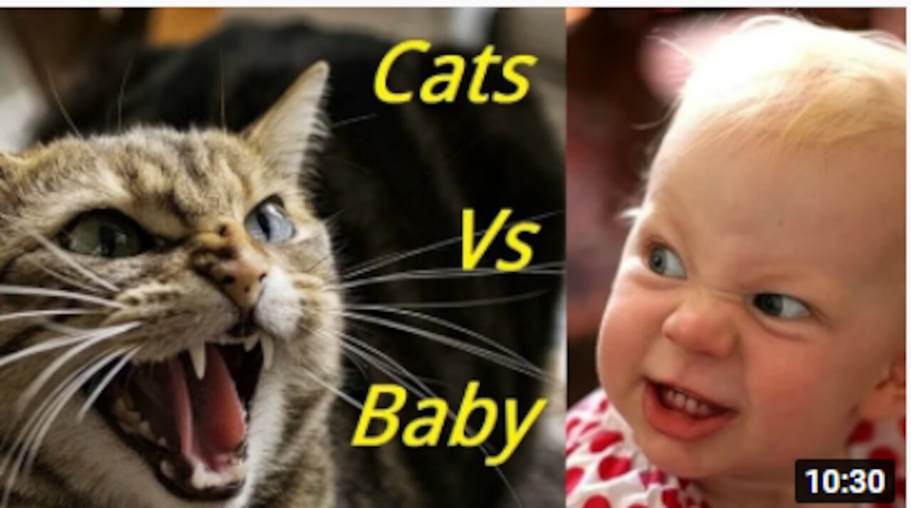 Watch These Cats and babies & the REALLY CUTE eternal struggle