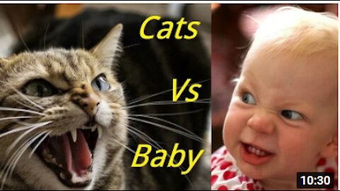 Watch These Cats and babies & the REALLY CUTE eternal struggle