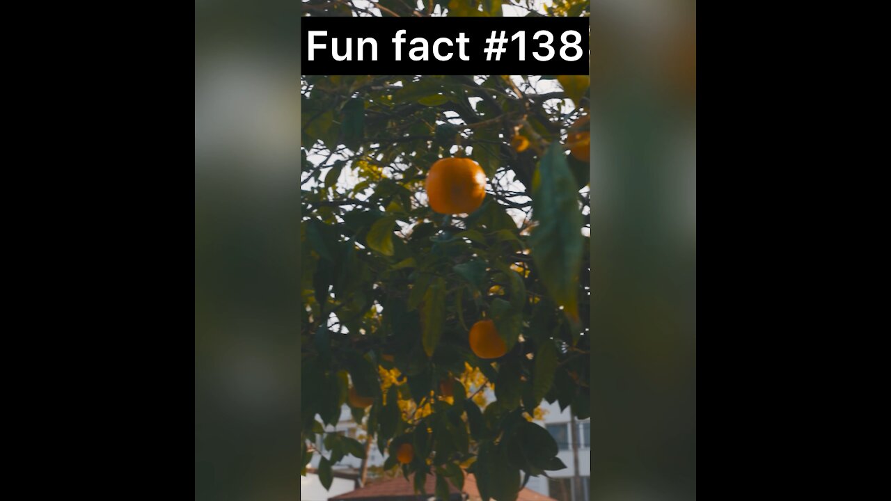 Oranges can do what?