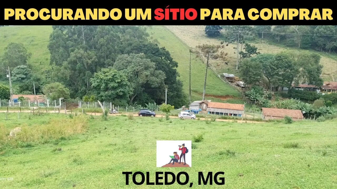 1. SÍTIO DO ZERO: CANAL SECUNDÁRIO, LINK NA DESCRIÇÃO #silvanafilgueirahistoriando