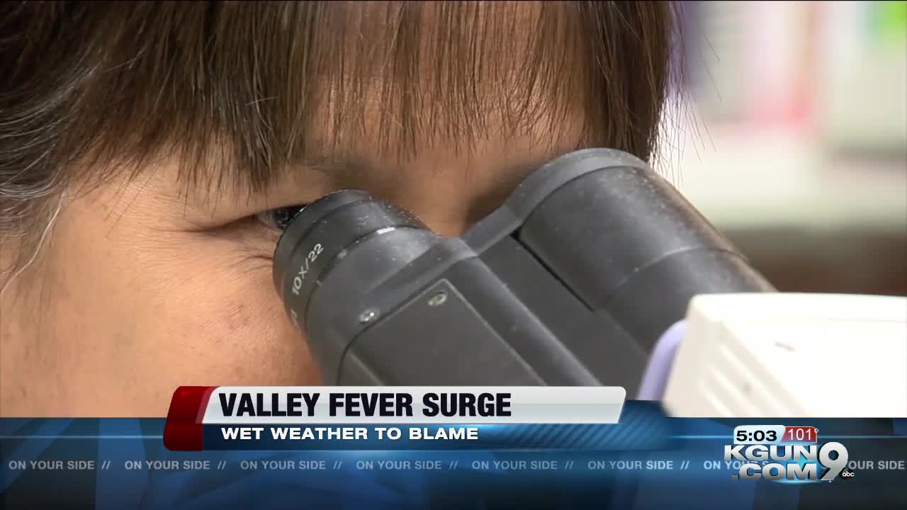 Wet winter made Valley Fever surge