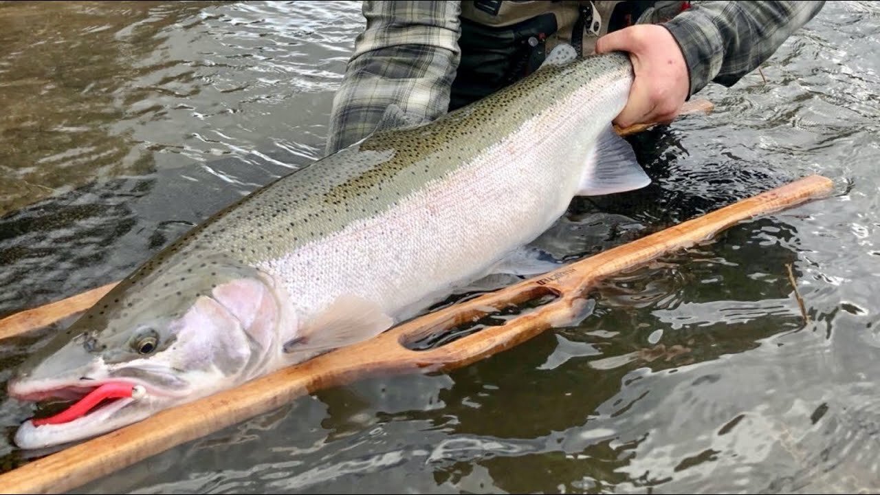 Drift Fishing Tips & Tricks Winter Steelhead(The Lost Art) - Part 2