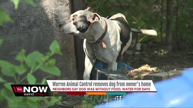 Warren Animal Control removes dog neighbors say was without food and water for days from owner's home