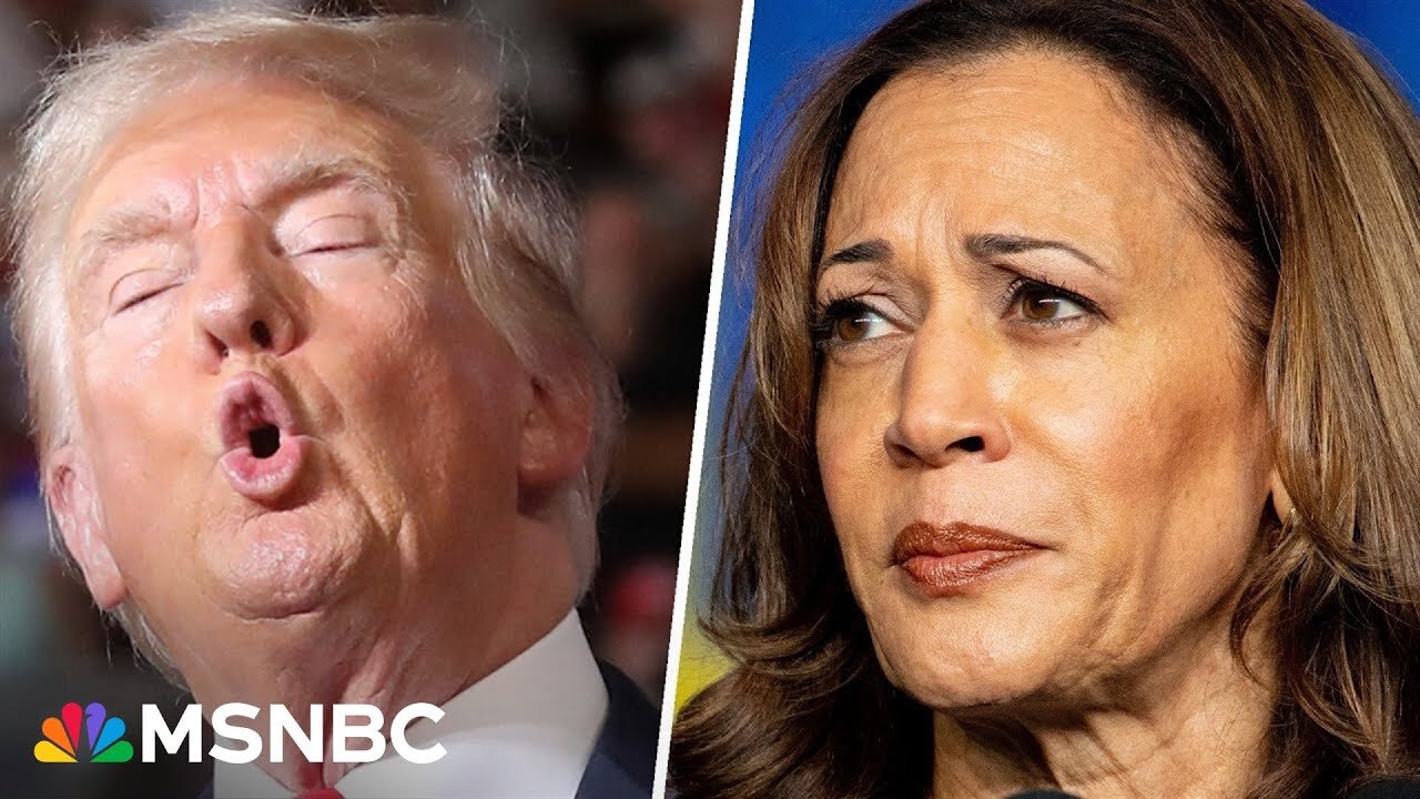 Trump blames Biden, Harris for market losses, but credits himself for gains | NE