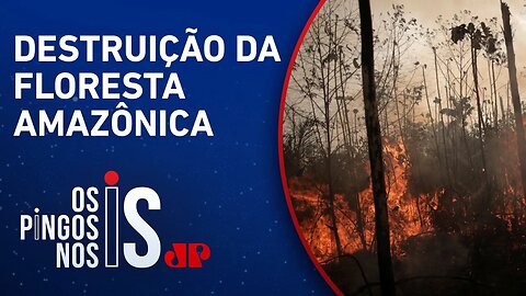 Com Lula, triplica desmatamento na Amazônia em março