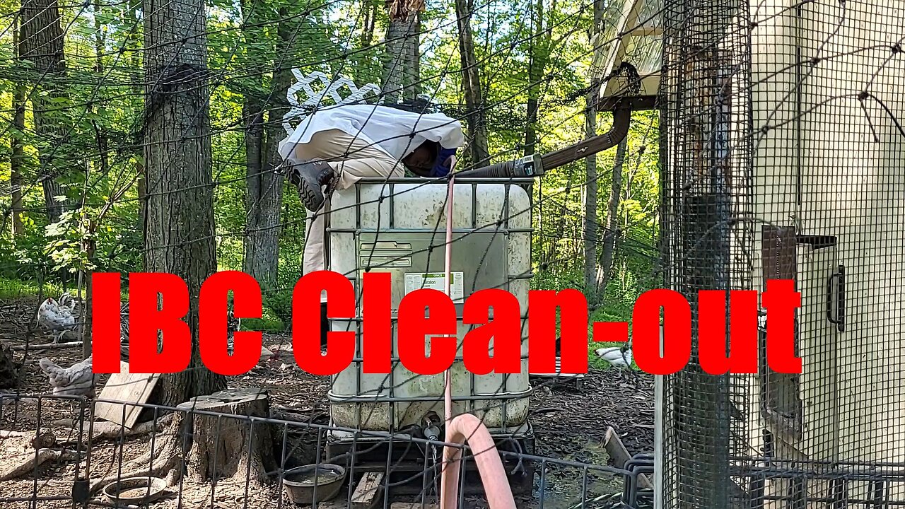 Automatic Water for the Chickens