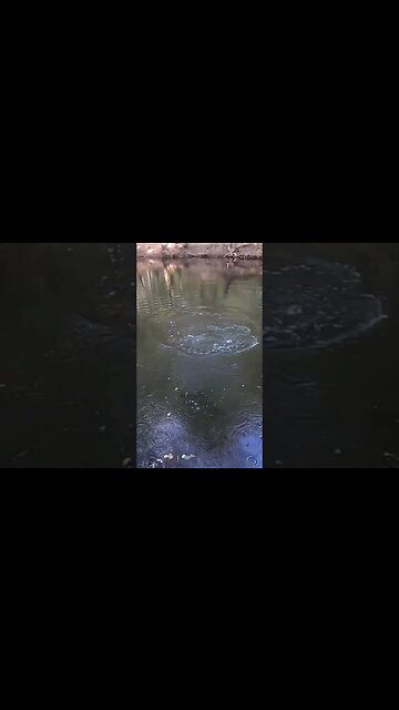 This biggest fish I’ve ever caught in the river!