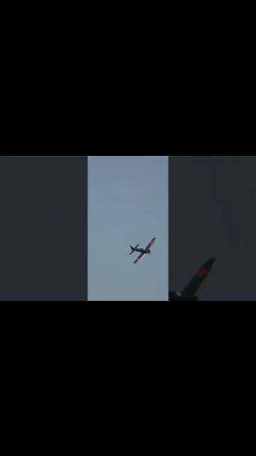 Former enemy #aviationlover #warbird #militaryaviation #militaryhistory #zero #japanese #rcplanes