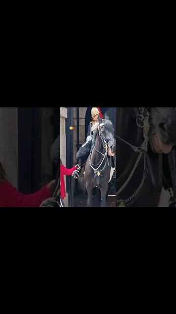 Grabbing the kings guard boot #horseguardsparade
