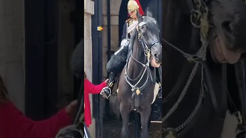 Grabbing the kings guard boot #horseguardsparade