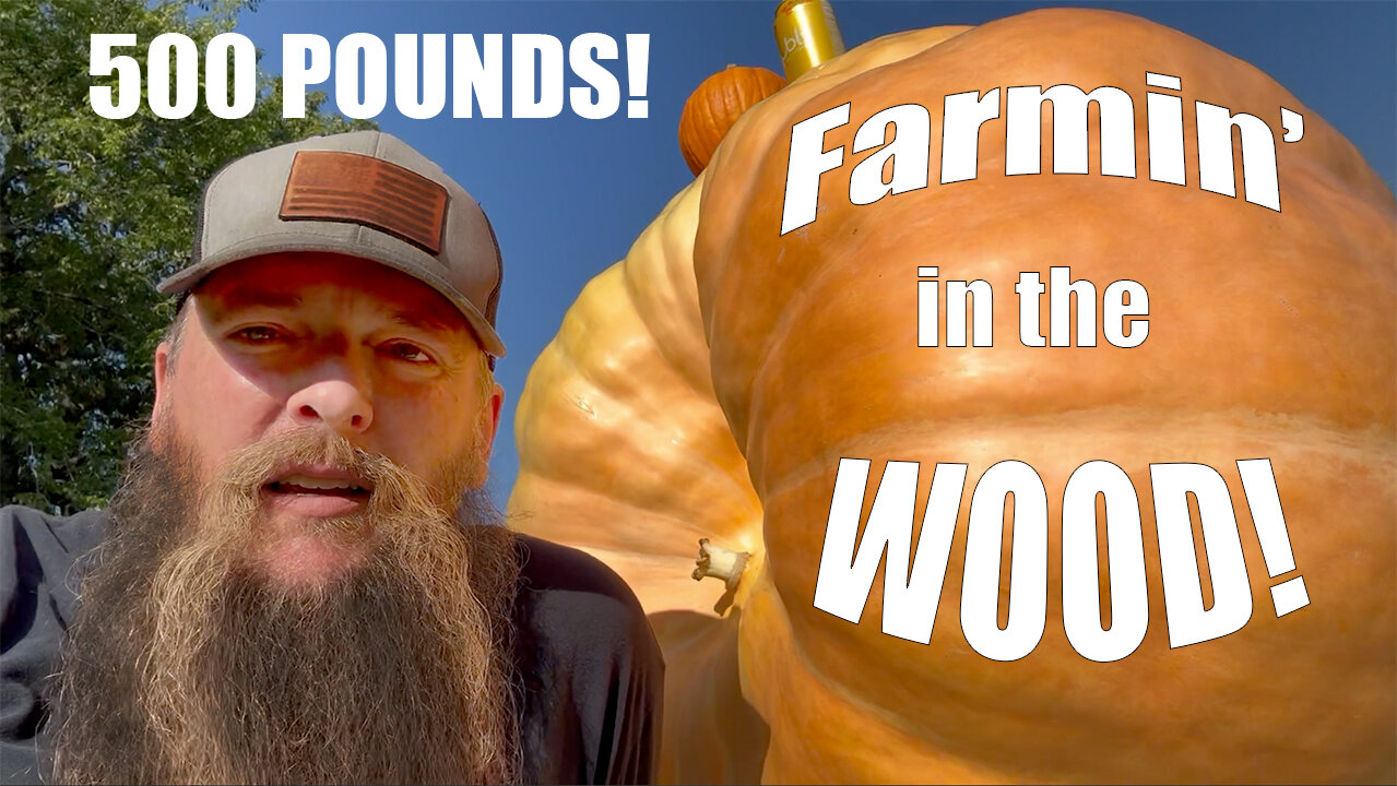 Off Grid 500lb Pumpkin