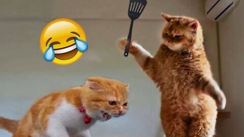 New Funny Animals 2023 😅 Funniest Cats and Dogs 😹🐶 Part 2