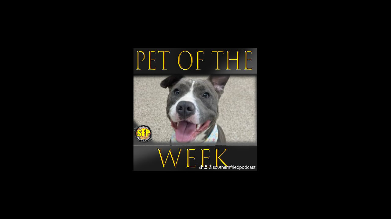 ARA Pet of the Week