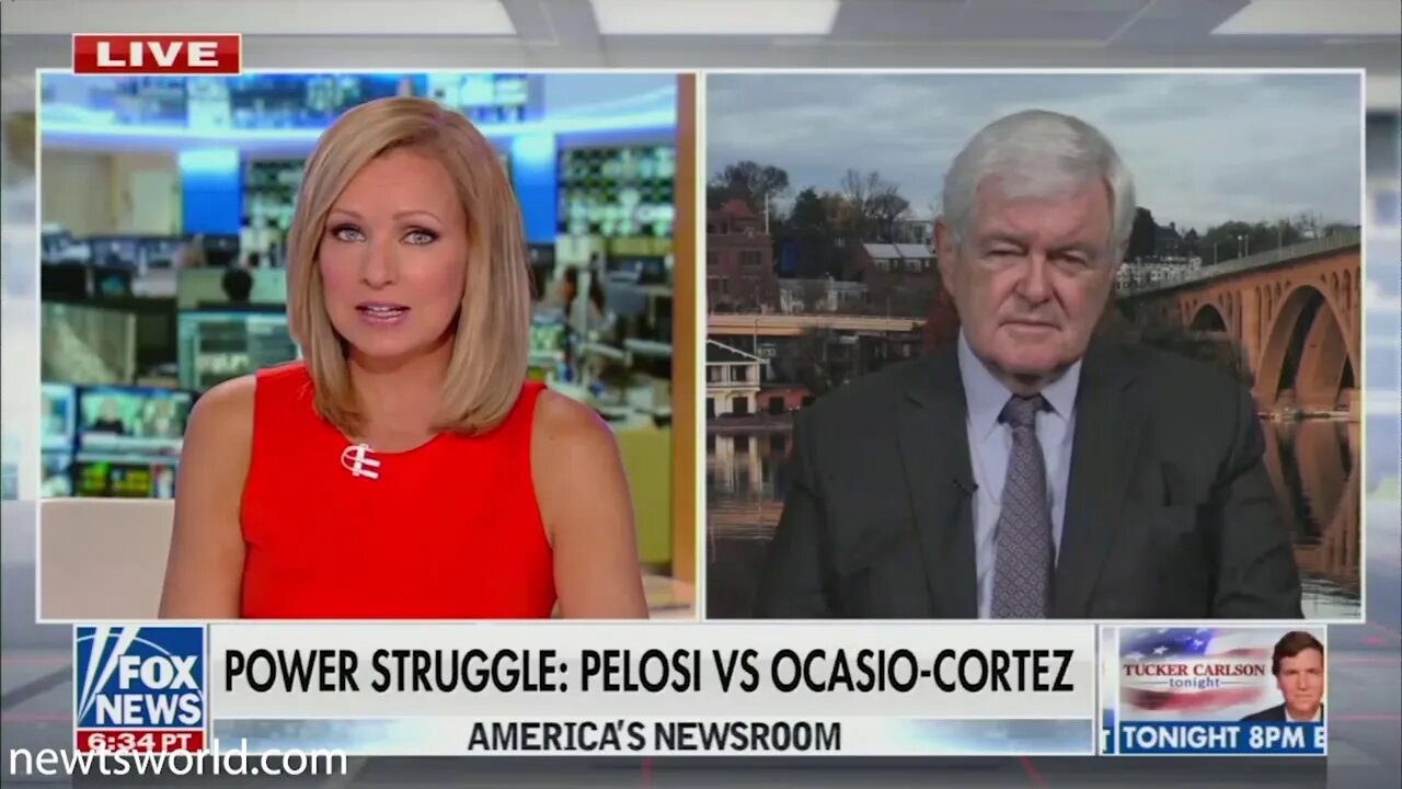 Newt Gingrich on Fox News American Newsroom | Nov. 12, 2020
