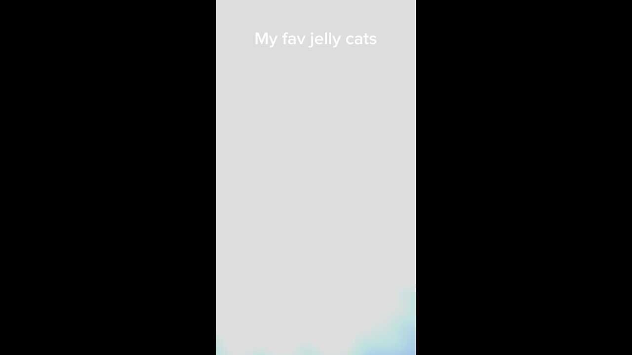 My fav jelly cats