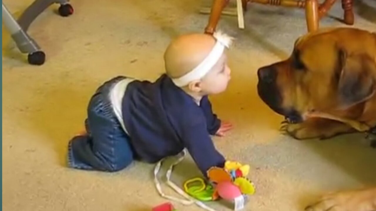 Cute baby and puppy compilation.