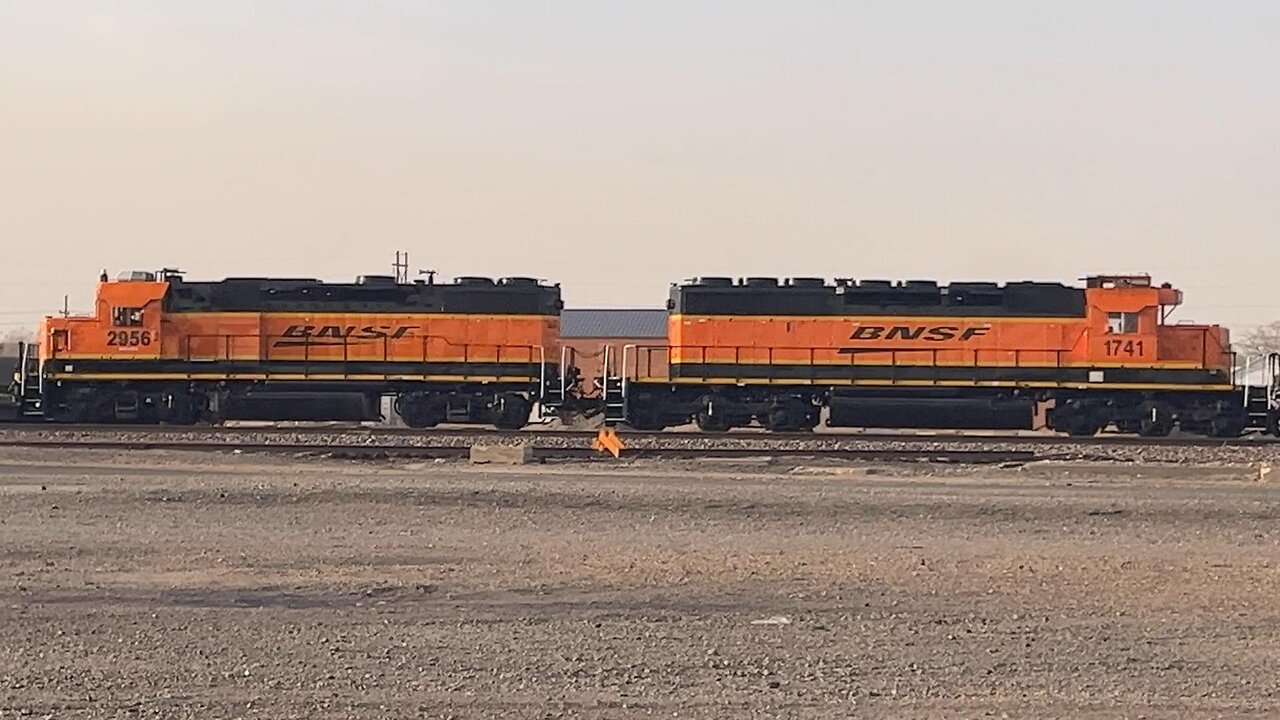 North Yard Activity and a Few Surprises