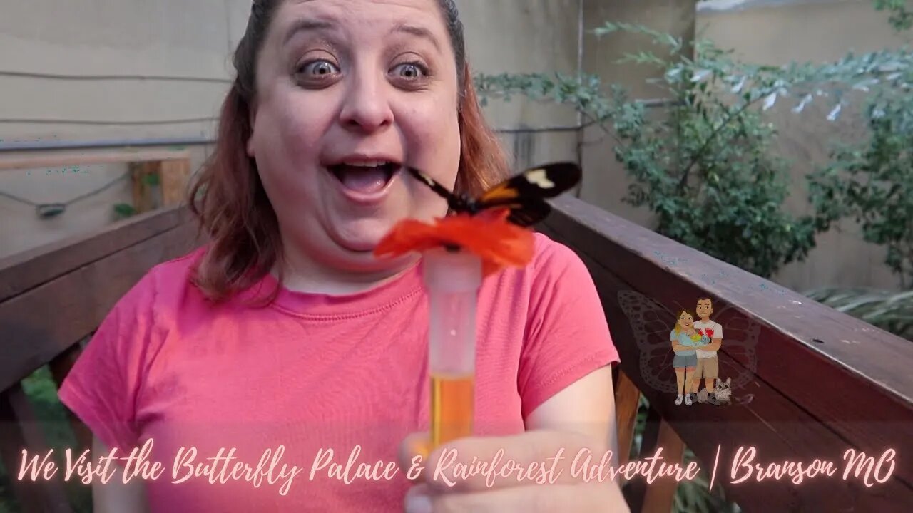 We Visit the Butterfly Palace & Rainforest Adventure | Branson MO