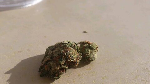 LEMON HAZE PAPHOS CYPRUS