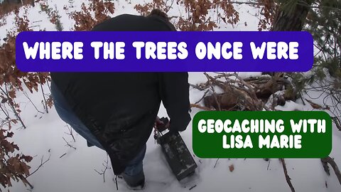 "Where the Trees Once Were"