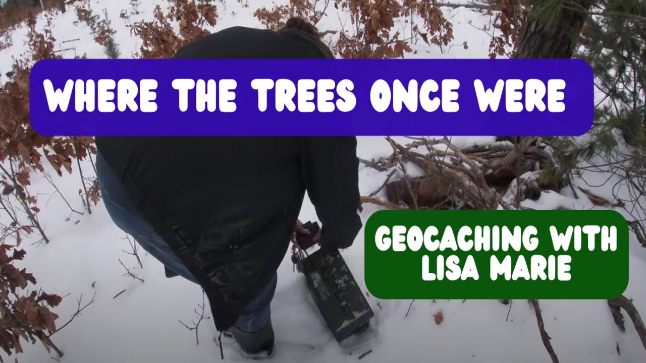 "Where the Trees Once Were"