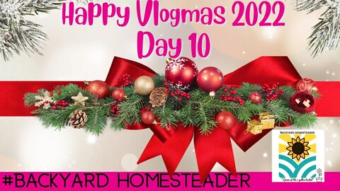Vlogmas 2022 Day 10