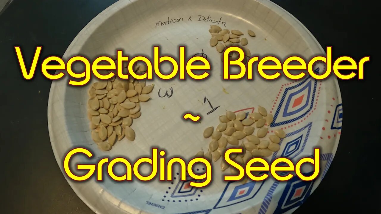 Grading Harvested Squash Seed for Next Generation