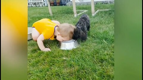 Babies and dogs are a perfect match. Look at these babies that maximum