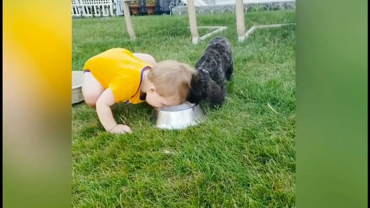 Babies and dogs are a perfect match. Look at these babies that maximum