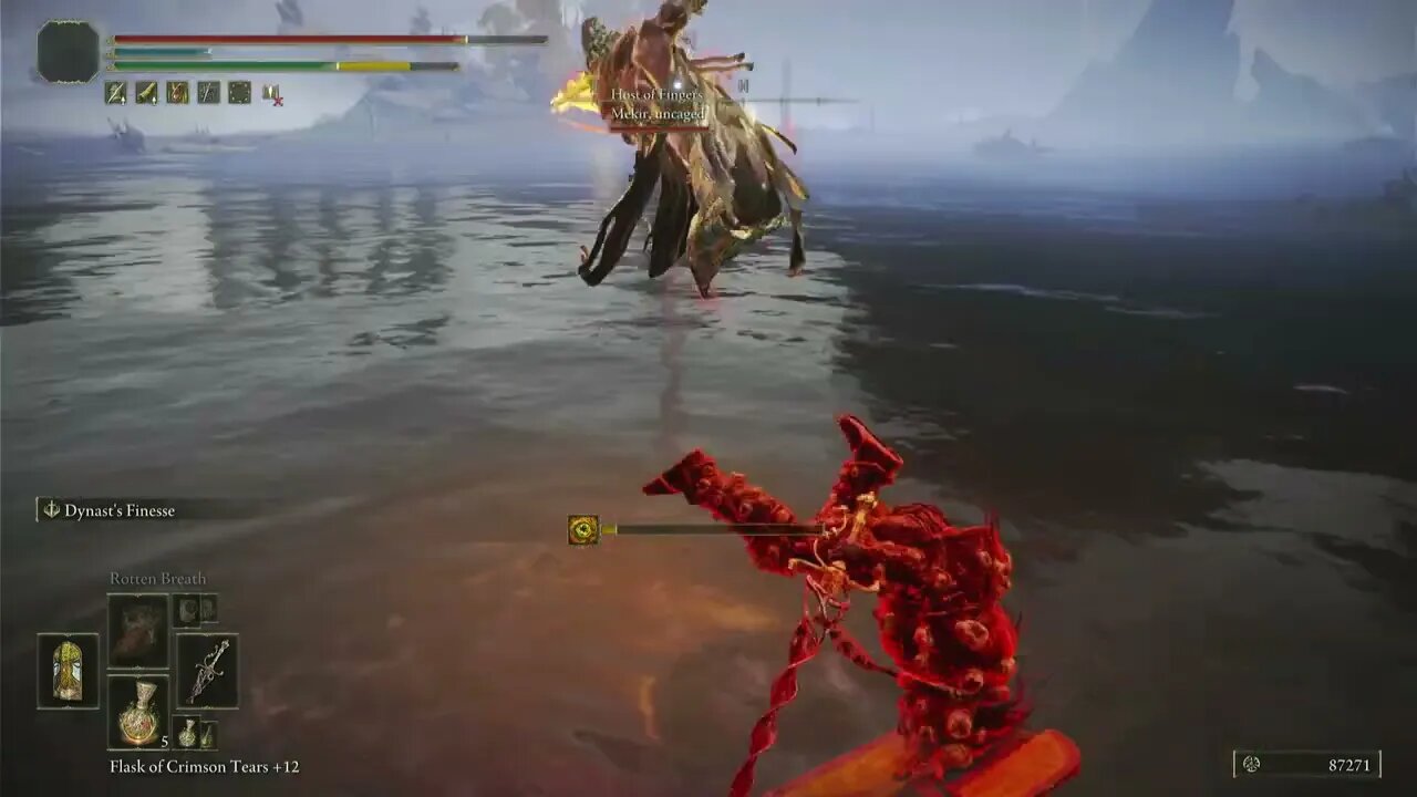 Elden Ring invasions #78