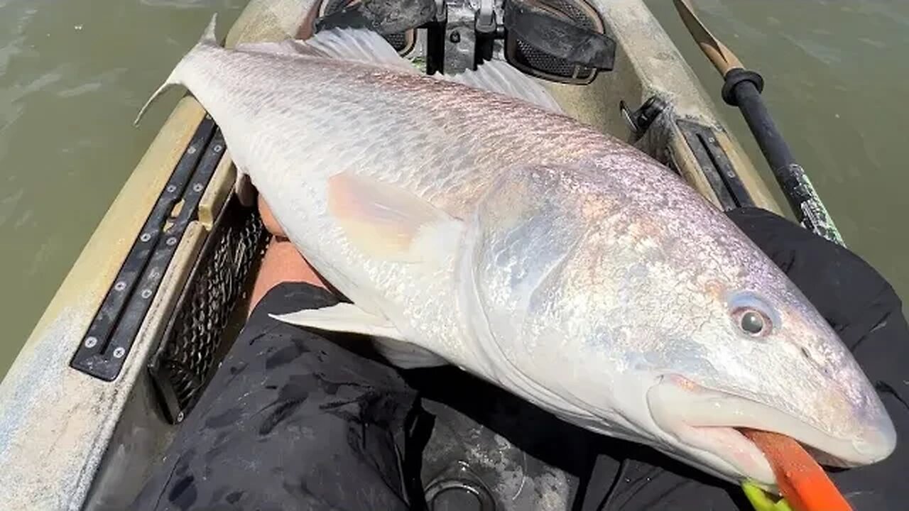 Kayak Fishing A Jetty For Bull Reds