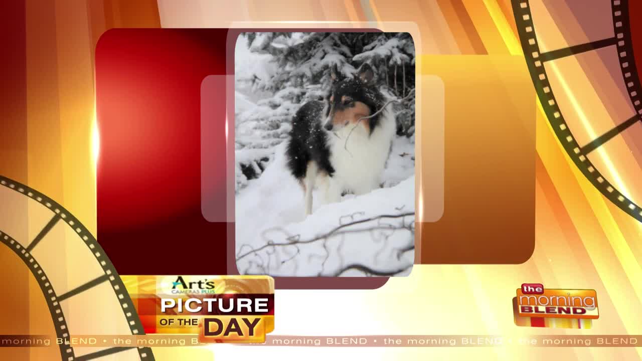 Art's Cameras Plus Picture of the Day for February 24!