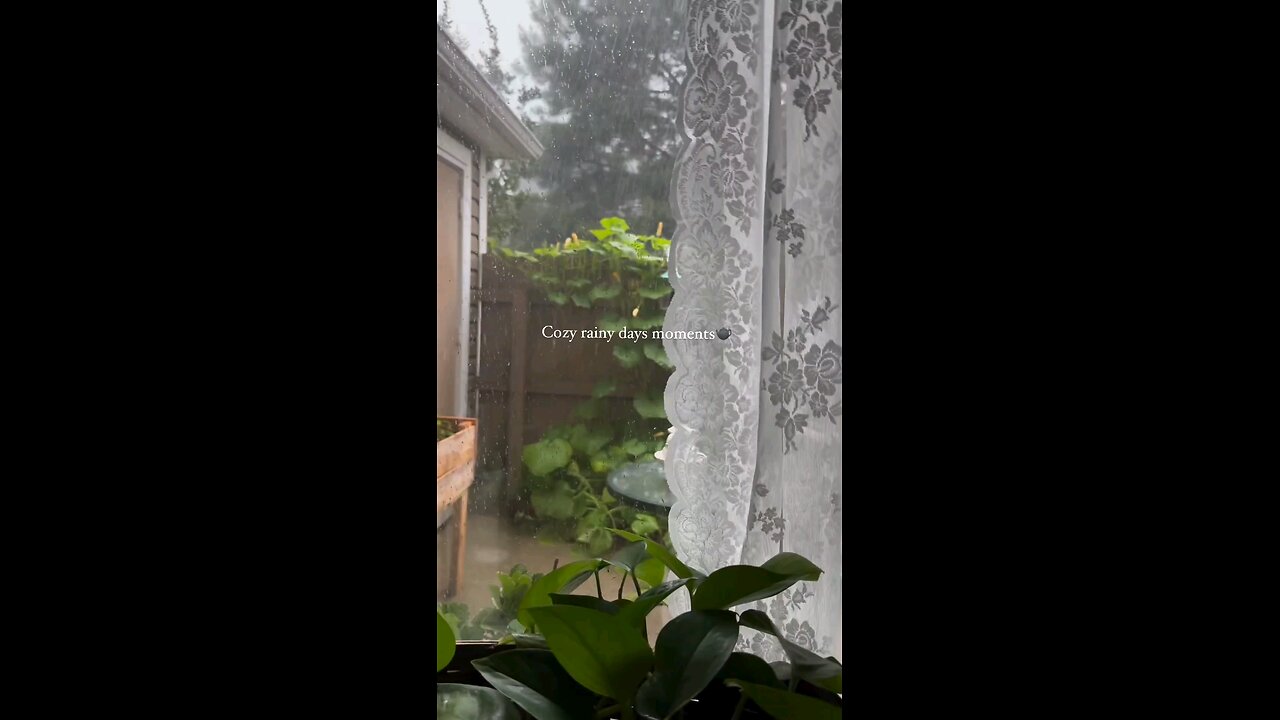 Cozy rainy days